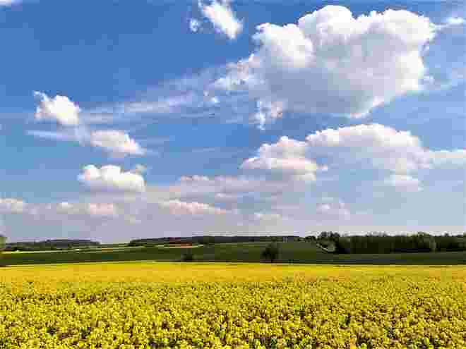 Blau - weiß - gelb