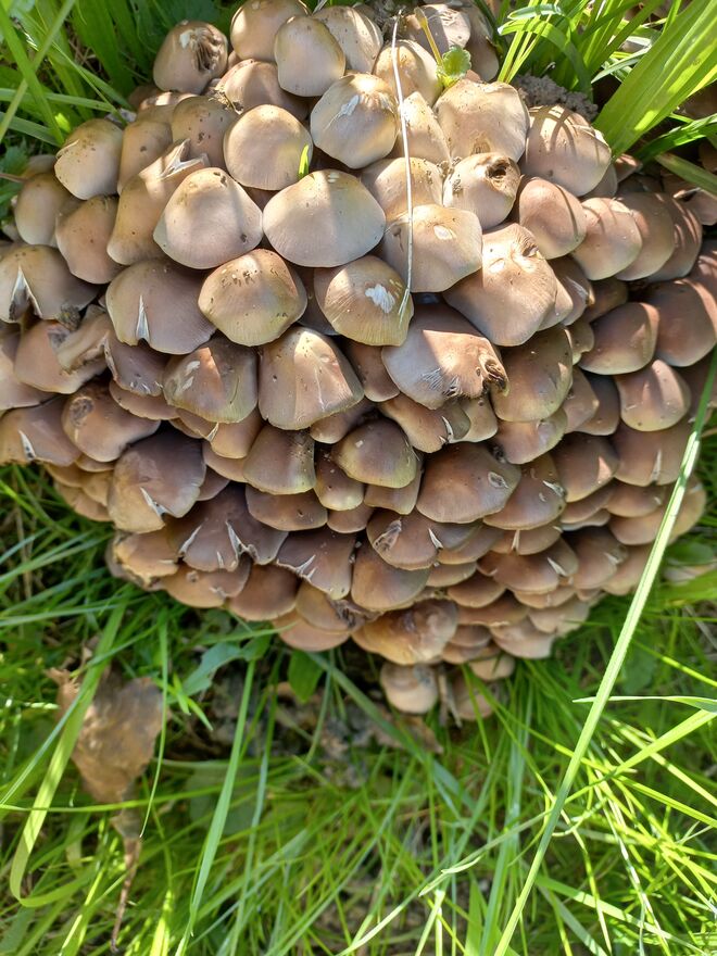 EIN AUGENBLICK DIE NATUR