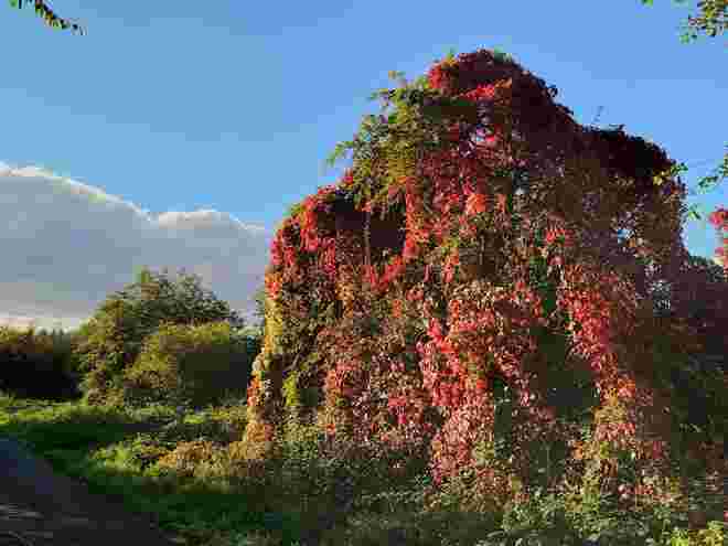 Herbst im "Endspurt"