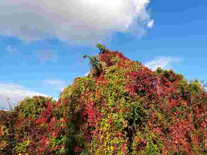 Herbst im "Endspurt"
