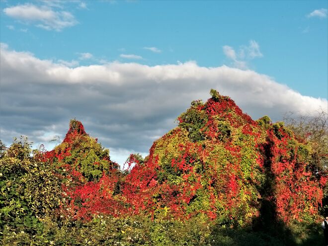Kräftige Farben . . .