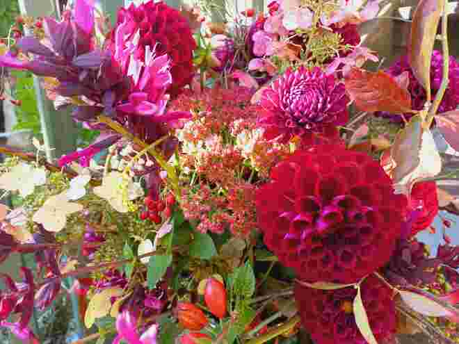 Herbstfarben! 