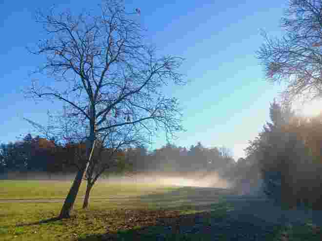 Nebelmorgen