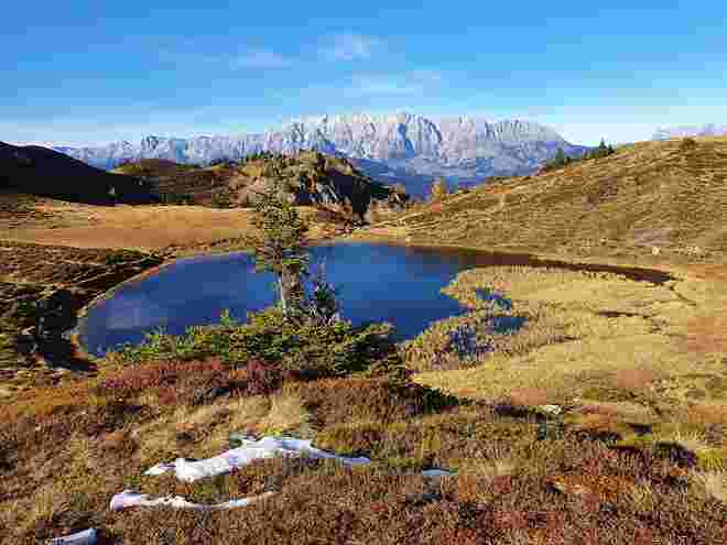 Paarseen