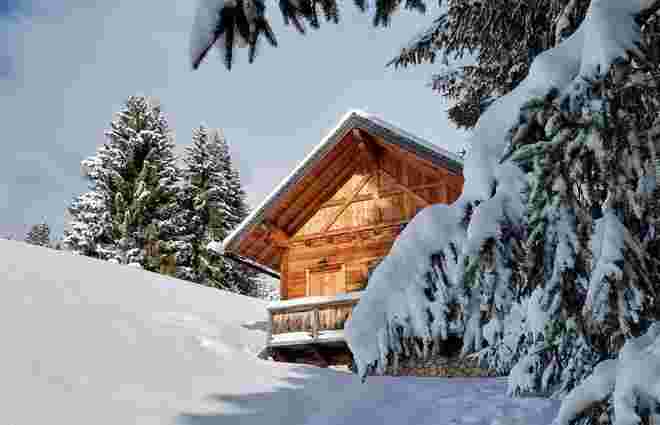 Winteridyle