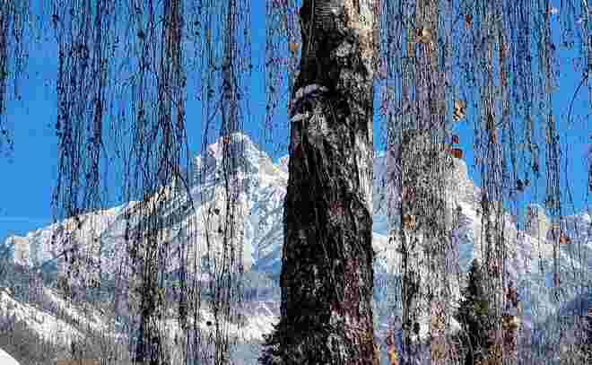 Wintertraum