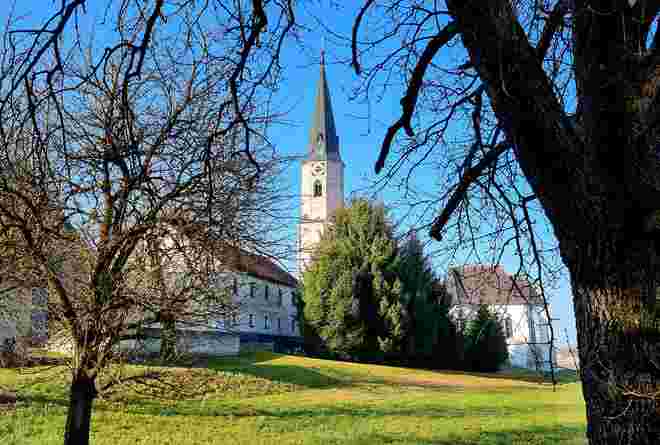 Frühlingserwachen
