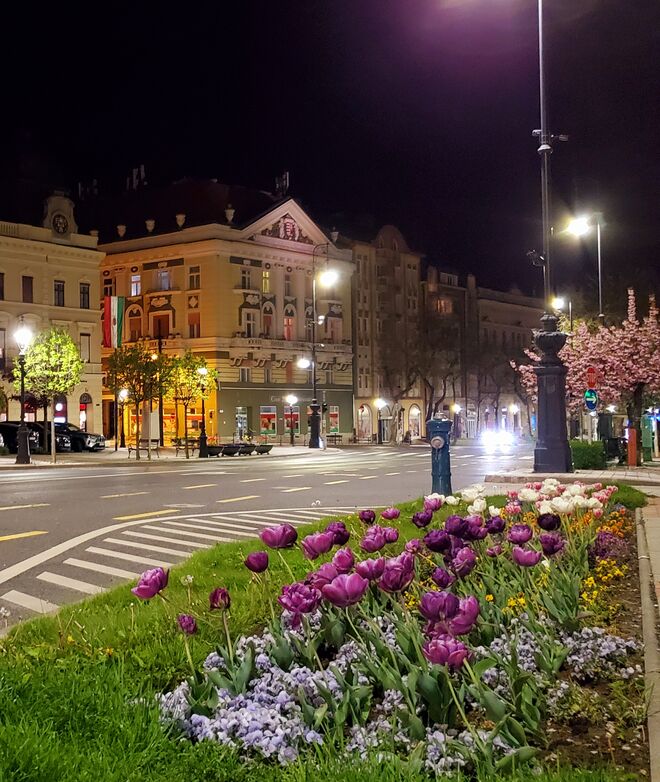 Abendlichter in Nagykanizsa 