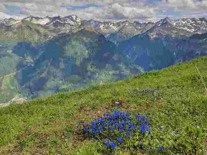 Sommertag auf 2000m