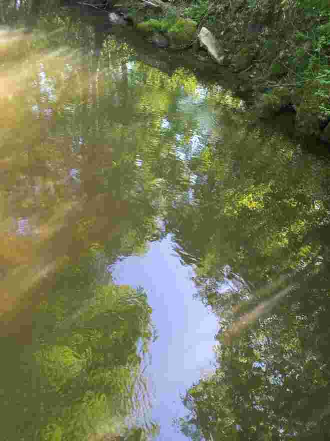 LICHTBLICKE IM SPIEGELBILD