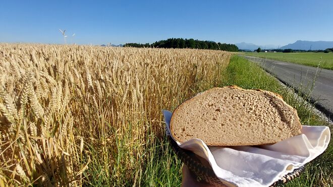 Unser tägliches Brot gib uns heute und morgen. 