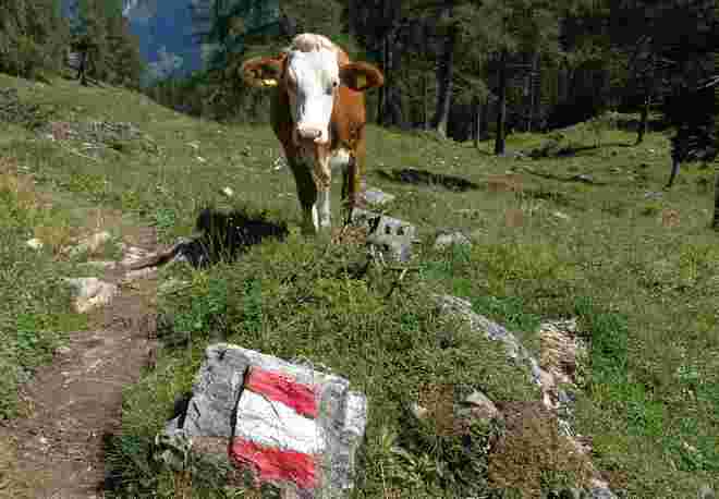 I am from Austria.....
