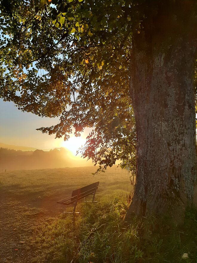 Herbstliche Abendstimmung