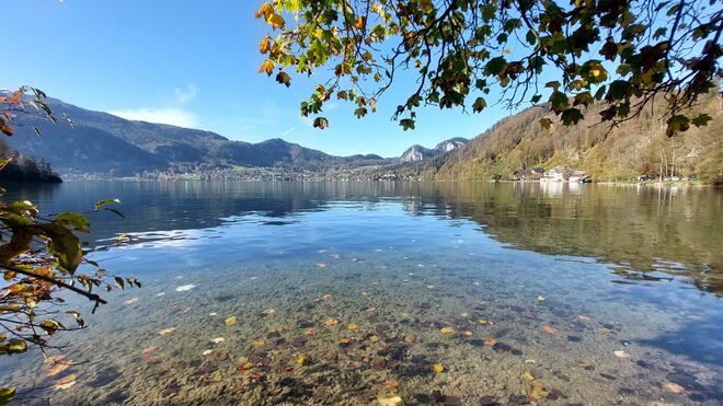 Herbst am Wolfgangsee 