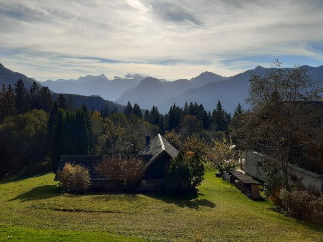 Von der Halleralm zum Dachstein