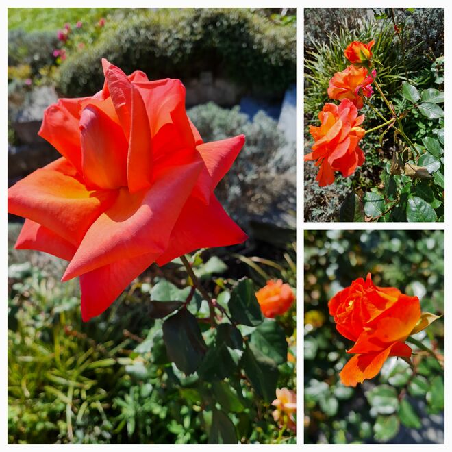 Wir halten zusammen ...