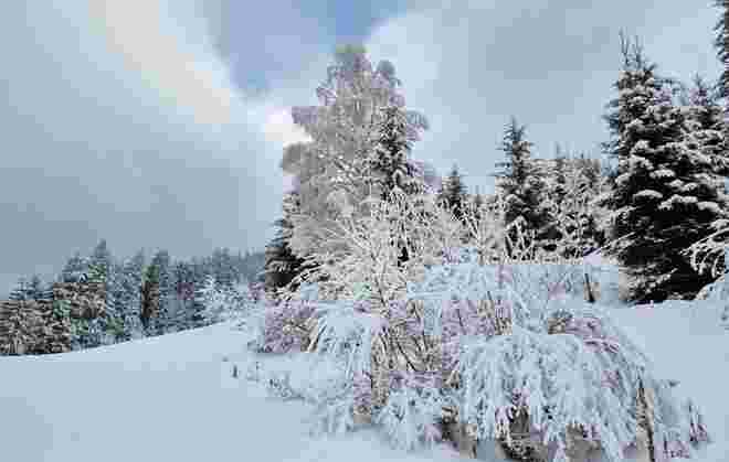Kleiner Winterzauber 