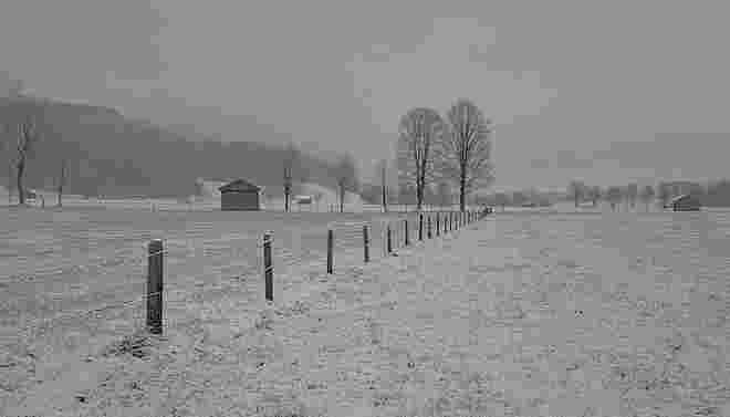 grauer Wintermorgen