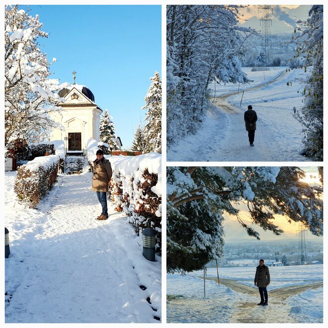 Später Nachmittag  am Plainberg 