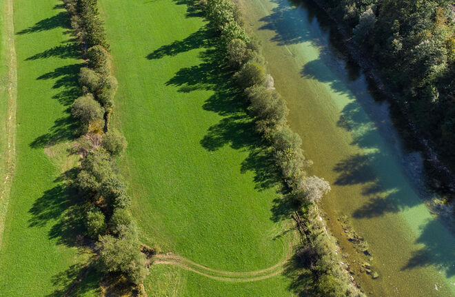 Die TRaun und ihre Ufer