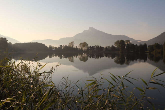 Der Tag wird golden...