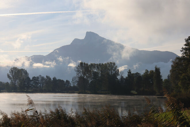 Herbstliche Dunstschleier
