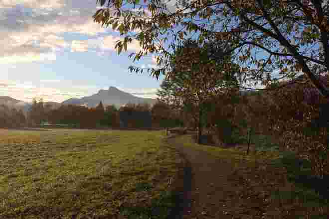 Herbstfarben im Morgenlicht