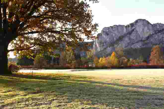 Novembergold und erster Frost