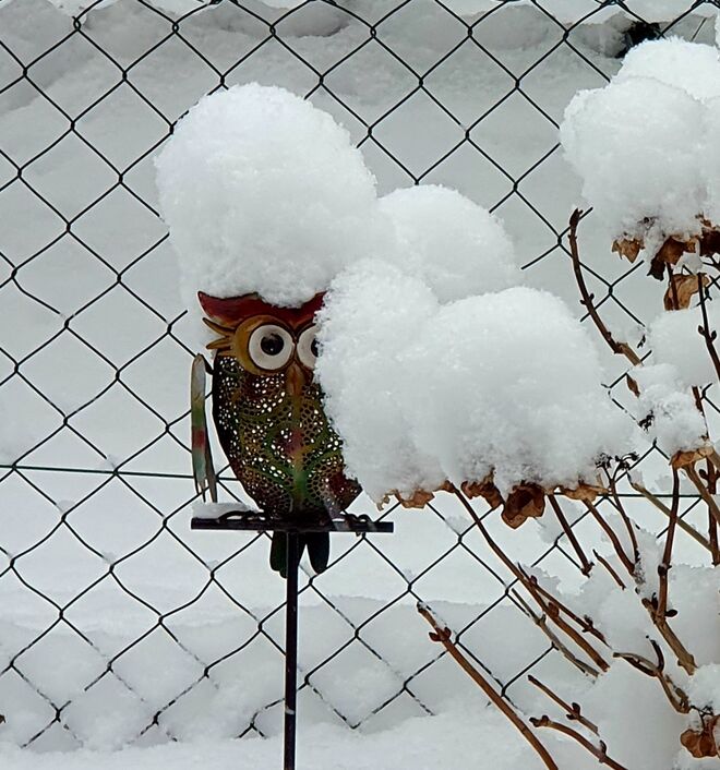 Tiefverschneiter Garten 