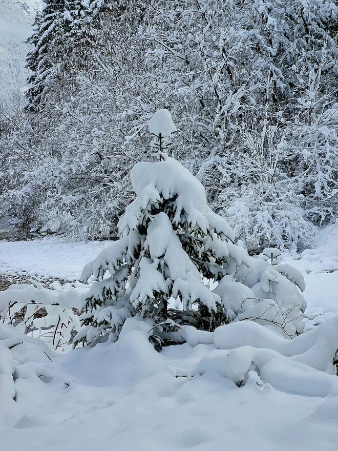 Bluntau in Watte verpackt 