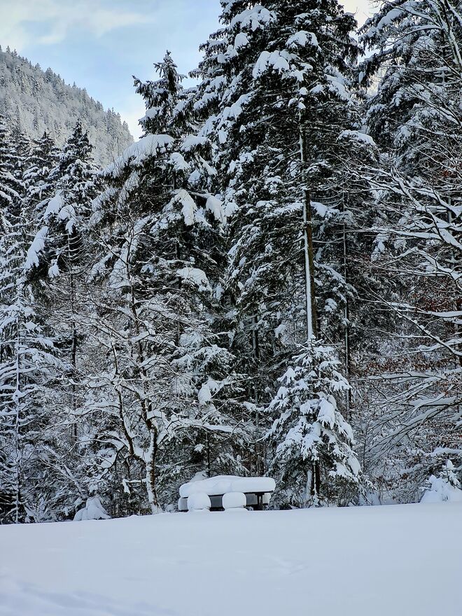 Bluntau in Watte verpackt 