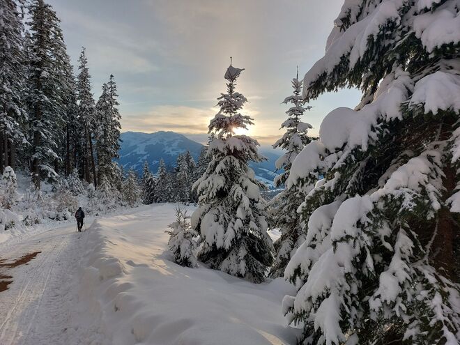 Winterwandern ist angesagt!