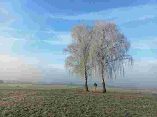 Winter im Flachgau....