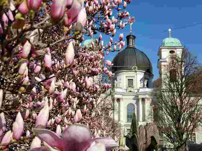 Hello Frühling 