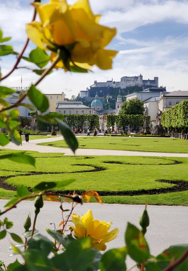 In der Umarmung von Rosen