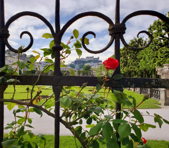 Festungblick vom Mirabellgarten 