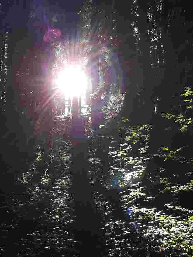 Waldbaden...