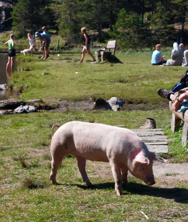 Almwandern für alle .... Ja! Natürlich!