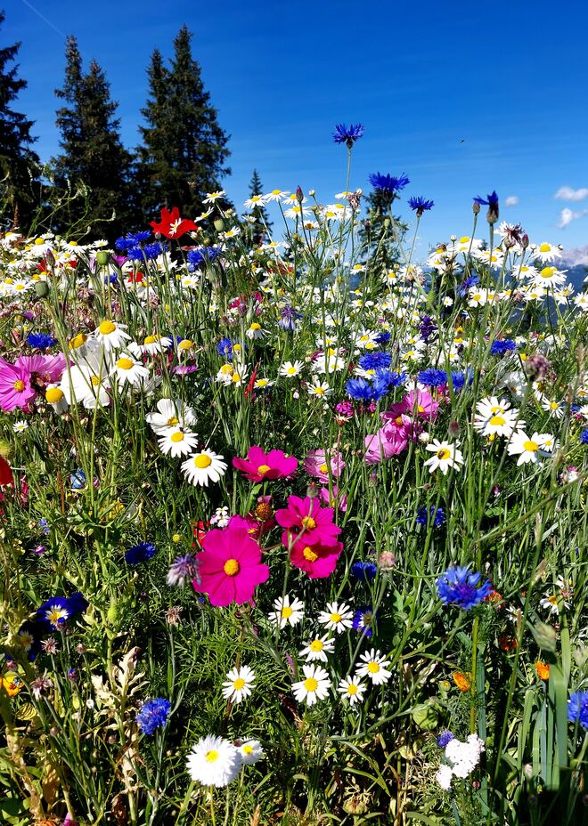 Der Sommer ist noch nicht vorüber!