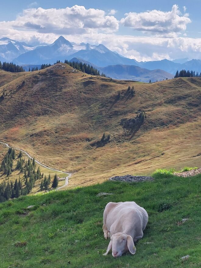 Liegeplatz mit Aussicht 