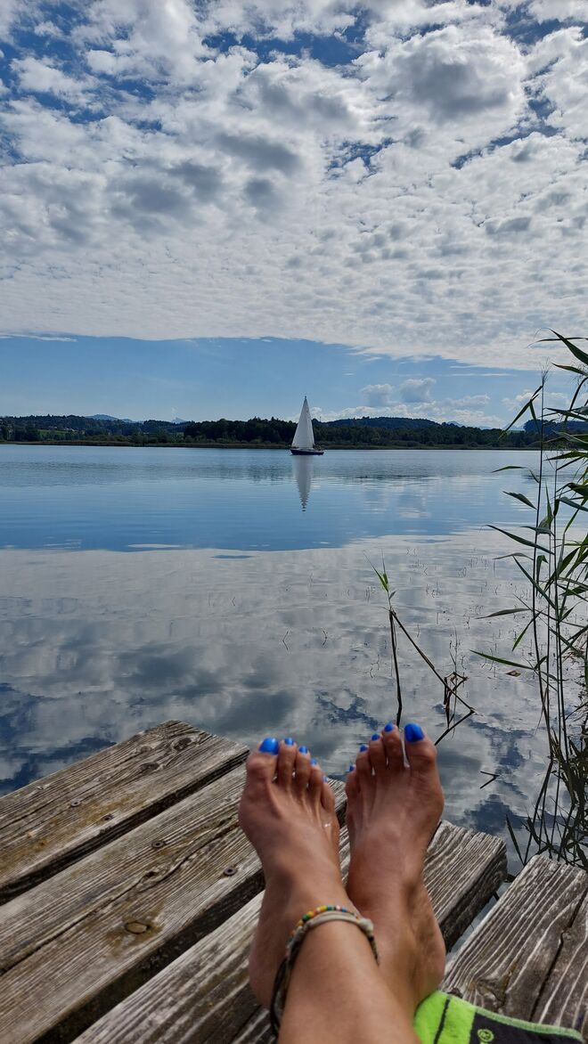 Der Spiegel des Sommers 