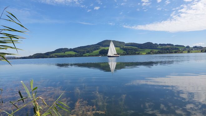 Obertrumer See mit Buchberg 