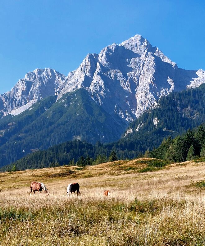 Jeder Tag ist ein Geschenk!