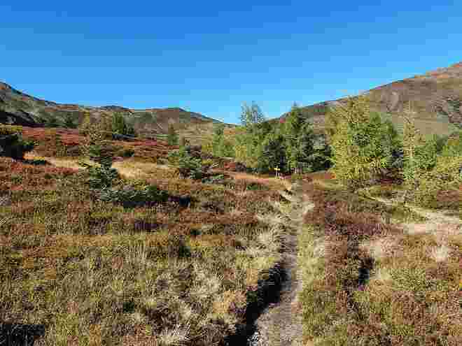 Herbsttag am Berg