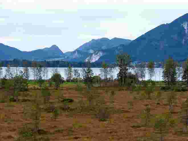 Moorlandschaft am See 
