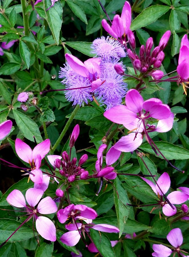 Wünsch dir einen fröhlichen Tag!