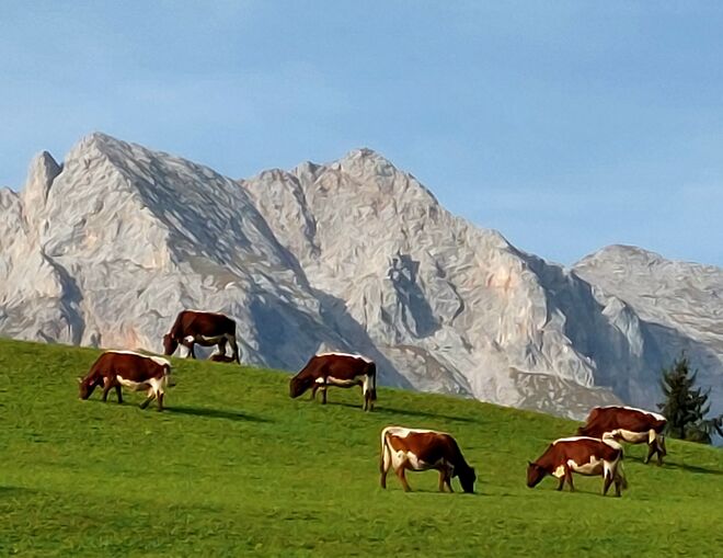 Saftiges Gras im Oktober