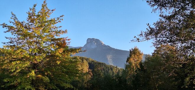 Farbenfroher Schafbergblick