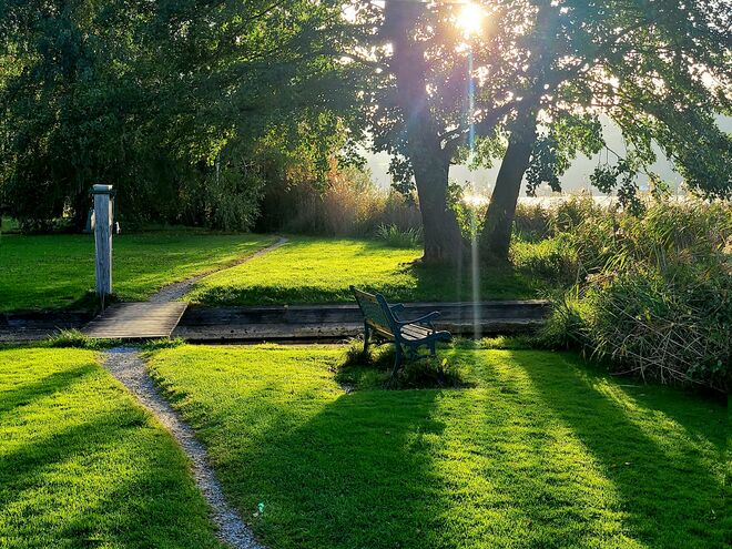 Morgen am Mattseeuferweg