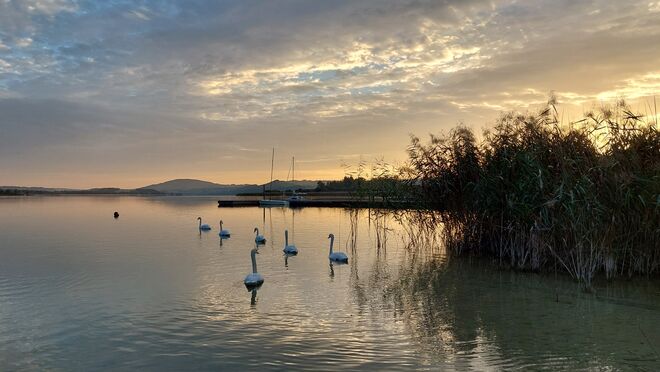 Schwanensee